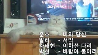 좋아하는 노래 2