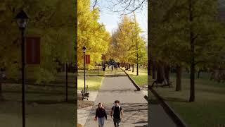 That Susquehanna University Magic