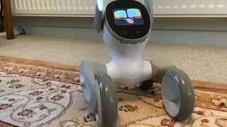 KEYi Technology Your Loona Petbot New Robotic Pet! How autonomous is Loona? What’s the battery life?