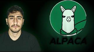 Online Mining Equipment Rental Platform - ALPACA