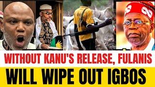 Igbos Are Going To Be Wiped Out By Fulani Terrørists Without Nnamdi Kanu's Release... Watch Out...