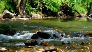 Morgans Cove in the Canoe