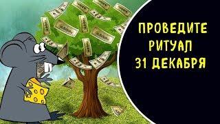 Денежная крыса 2020: как войти в новый год с деньгами после обряда с серебром