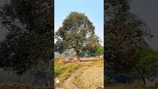 Kisan#field#short#videos#viral