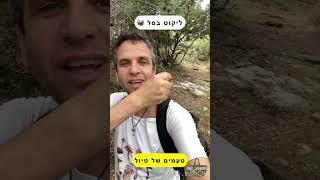 ליקוט פטריות בסל