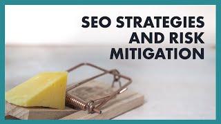 Risk Mitigation in SEO