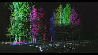What Happens When Art, Technology and Nature Meet Head-On