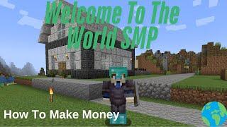 How The World SMP Works