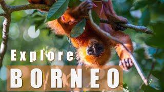 Explore Borneo, Malaysia - 2 week itinerary