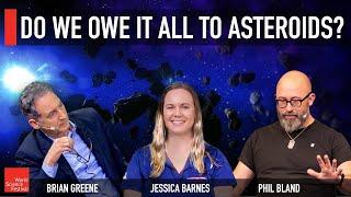 Do We Owe it All to Asteroids?