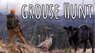 Mountain Grouse Hunting and Camping with COWS!