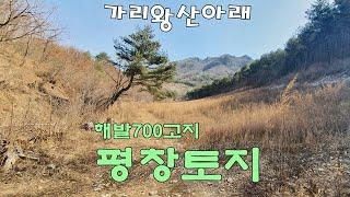 350. 강원도 평창토지