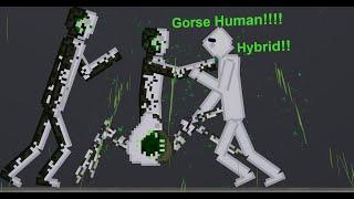 The Gorse Human Hybrid In People Playground