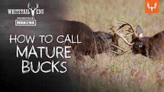 How to Call Mature Bucks | Whitetail EDU with MeatEater's Mark Kenyon