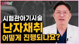 시험관아기시술, 난자채취 어떻게 진행되나요?