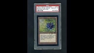 $900,000 PSA 10 Alpha Black Lotus Signed By Christopher Rush - The Holy Grail Magic Card