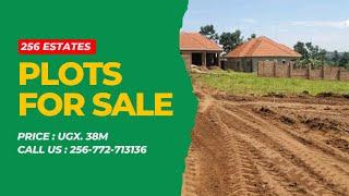 Own Your Dream Plot at Gayaza Kiwenda Balita Estate | 256 Estates Uganda