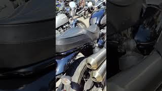 Coolest Street Scrambler Triumph #shortviral #ms.ju