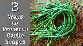 3 Ways To Preserve Garlic Scapes | How To Preserve Garlic Scapes | Storing Garlic Scapes