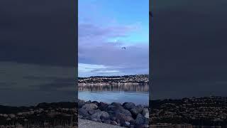 Sunrises and sunsets in Wellington, NZ #youtubeshorts #shorts #newzealand #travel