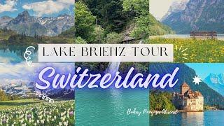 STOP Missing Out on Lake Brienz's Hidden Gems!