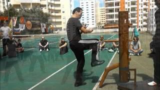 IP Man Wing Chun - Portugal 2012 With GM Samuel Kwok