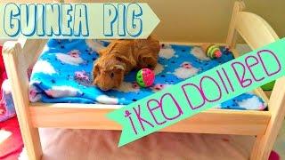 Guinea Pig IKEA Doll Bed!