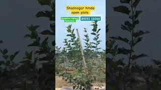 #Shadnagar HMDA open plots #banglore highway hmda plots for sale