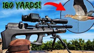 Long-Range Hunt | FX Wildcat MK3 Compact BT | FX Impact M3 800mm TRS | Hits like a Hurricane viral