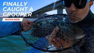 Boating & Fishing Adventure: Exploring Sarasota's Waterways and Offshore from Siesta Key