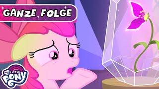 Plötzlich erwachsen | Freundschaft ist Magie | Staffel 9 Folge 22 | MLP DEUTSCH