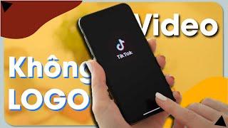 Mẹo TẢI Video Tik Tok KHÔNG LOGO Vô Cùng Đơn Giản