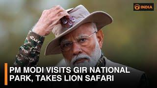 PM Modi visits Gir National Park, takes lion safari | DD National