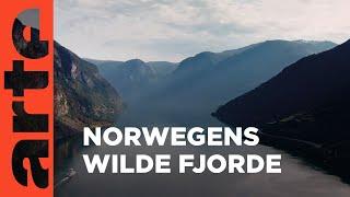 Norwegen | Unterwegs im hohen Norden Reupload  | ARTE Family