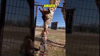 Animals That Look Cute But can Kill You  ️ Part-22 #scary #animals #ytshorts #shorts