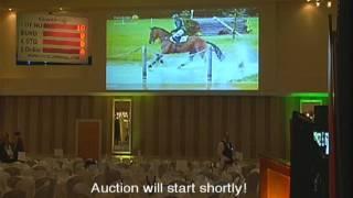 Goresbridge Go For Gold Select Sale Of Eventers Live Stream