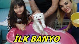 Lİna'nın Kedisi Pamuk Dorin'in İlk Banyosu ! Kedi Nasıl Yıkanır! Rukiye Çetinkaya