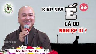 "Ế" là do NGHIỆP gì? Vấn Đáp Thầy Thích Pháp Hòa CƯỜI ĐAU RUỘT