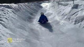 Canadians creating epic DIY sledding tracks