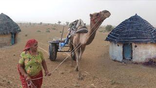 [468] मरुभूमि की यात्रा | रेत का रण #Desert #rajasthan #camel #thar #shubhjourney #sand