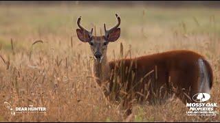Land and Farms Realty - How to measure the success of your Land and Wildlife Management Plan