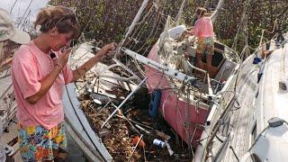 Hurricane Beryl:  Carnage in the Carriacou mangroves   |   Ep119