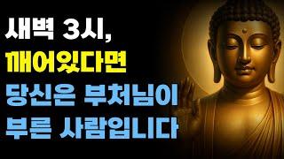 부처님 말씀,  새벽 3시, 깨어있다면 당신은 부처님이 부른 사람입니다ㅣ석가모니 가르침ㅣ불교 명언