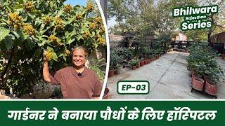 इंडोर प्लांट की ये बाते है आप नहीं जानते  Indoor Plants Garden Tour 🪴 Bhilwara Series EP-03