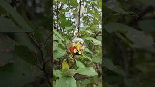 Огромный амулет #биолокация #оргонит #оберег
