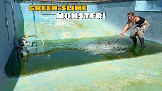 WE CAUGHT THE GREEN-SLIME POOL MONSTERS! Part 2