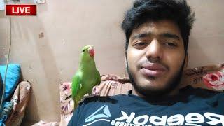 Md Irfan  Vlog is live! देखिए लाइव मेरा तोते