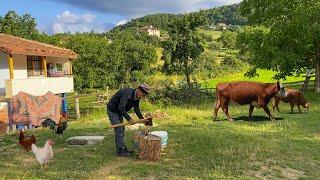 Village Life. Daily Life in Turkey Village. Village Documentary