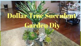 Dollar Tree Succulent Garden DIY