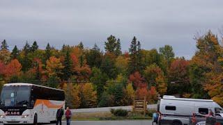 BEST FALL COLORS IN CANADA (ALGONQUIN PARK) 4K